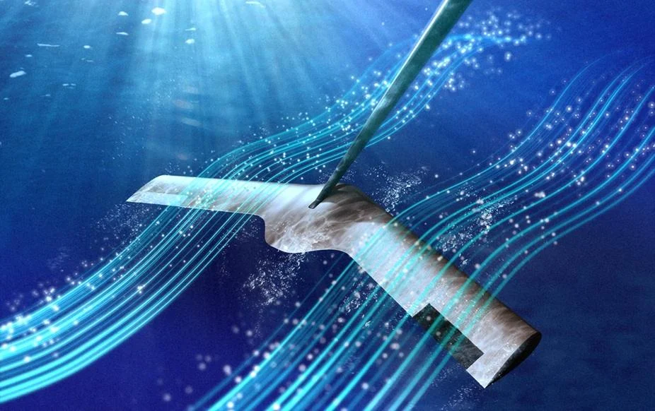 Caudal Energy Secures £4.3 Million Seed Funding to Advance Marine Mammal-Inspired Tidal Power Technology