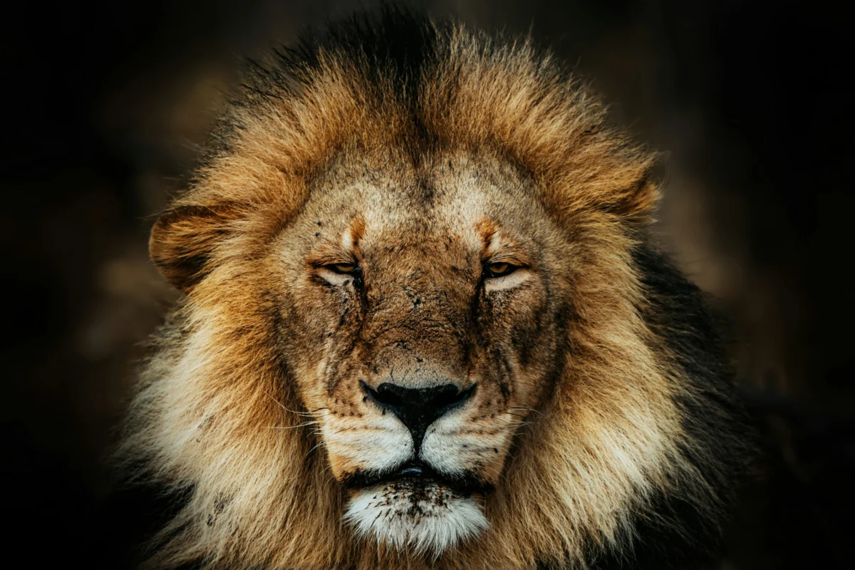 Lion Real Estate Group Achieves Strong Returns with First Institutional Fund