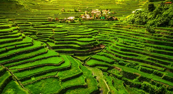 Philippines Sovereign Wealth Fund Aims to Catalyze Agriculture Sector Amidst Global Investment Trends in Sustainable Land Management