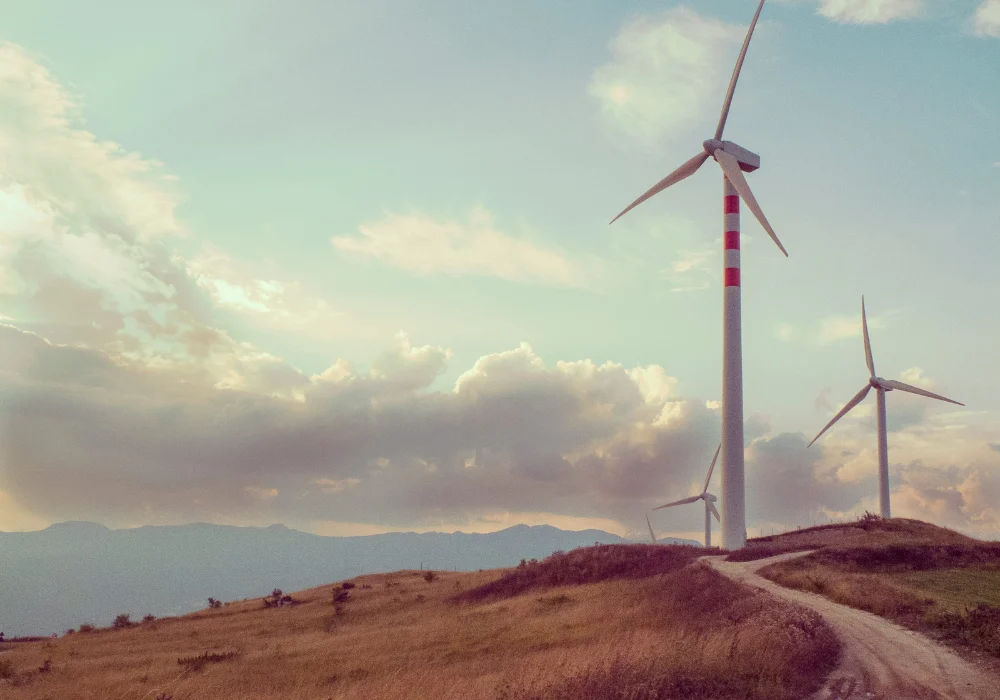 Beyond Pledges Canadas Climate Finance Act as a Blueprint for Global Economic Resilience