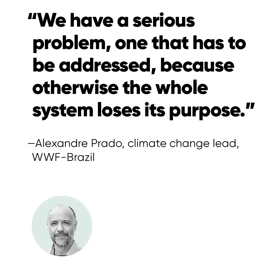 Brazil’s Carbon Market Ambitions Face Crisis Amid Governance Gaps and Land Tenure Disputes