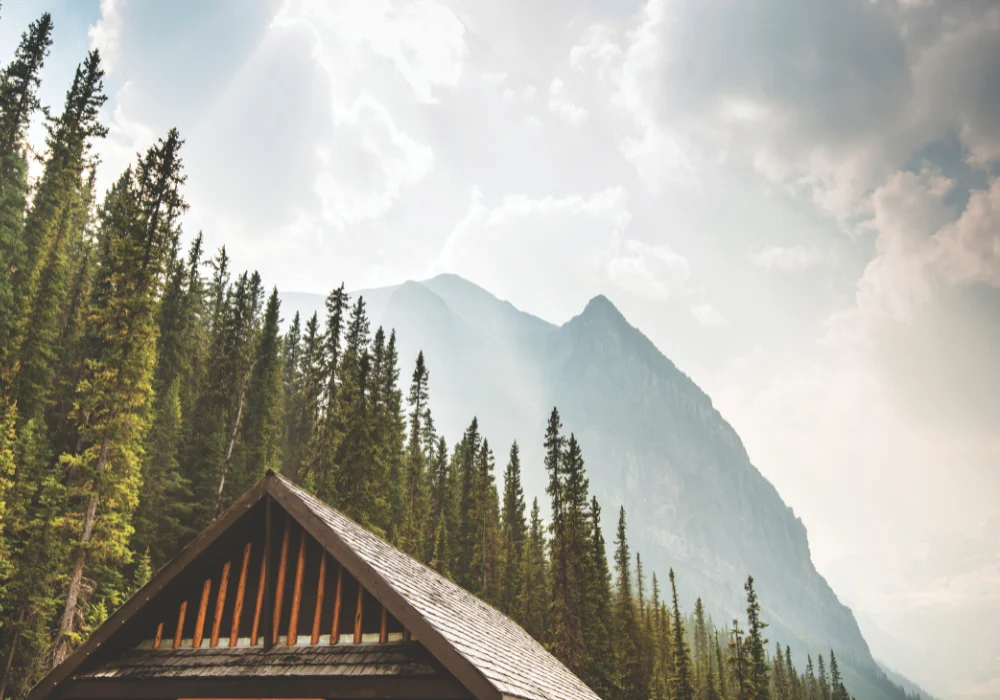 Regenerative Tourism: The New Frontier of Travel Aiming to Restore and Revitalize the Planet