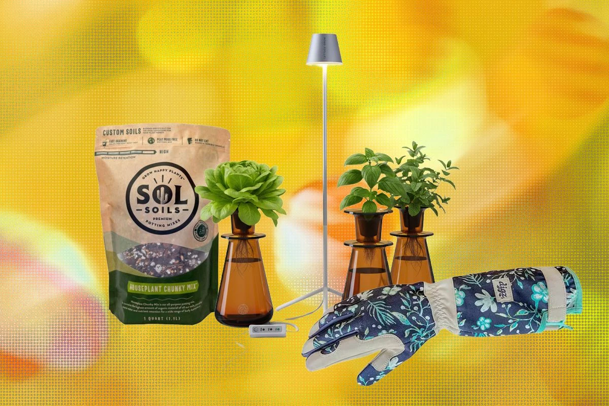 The 19 Best Gifts for Plant Lovers and Gardeners