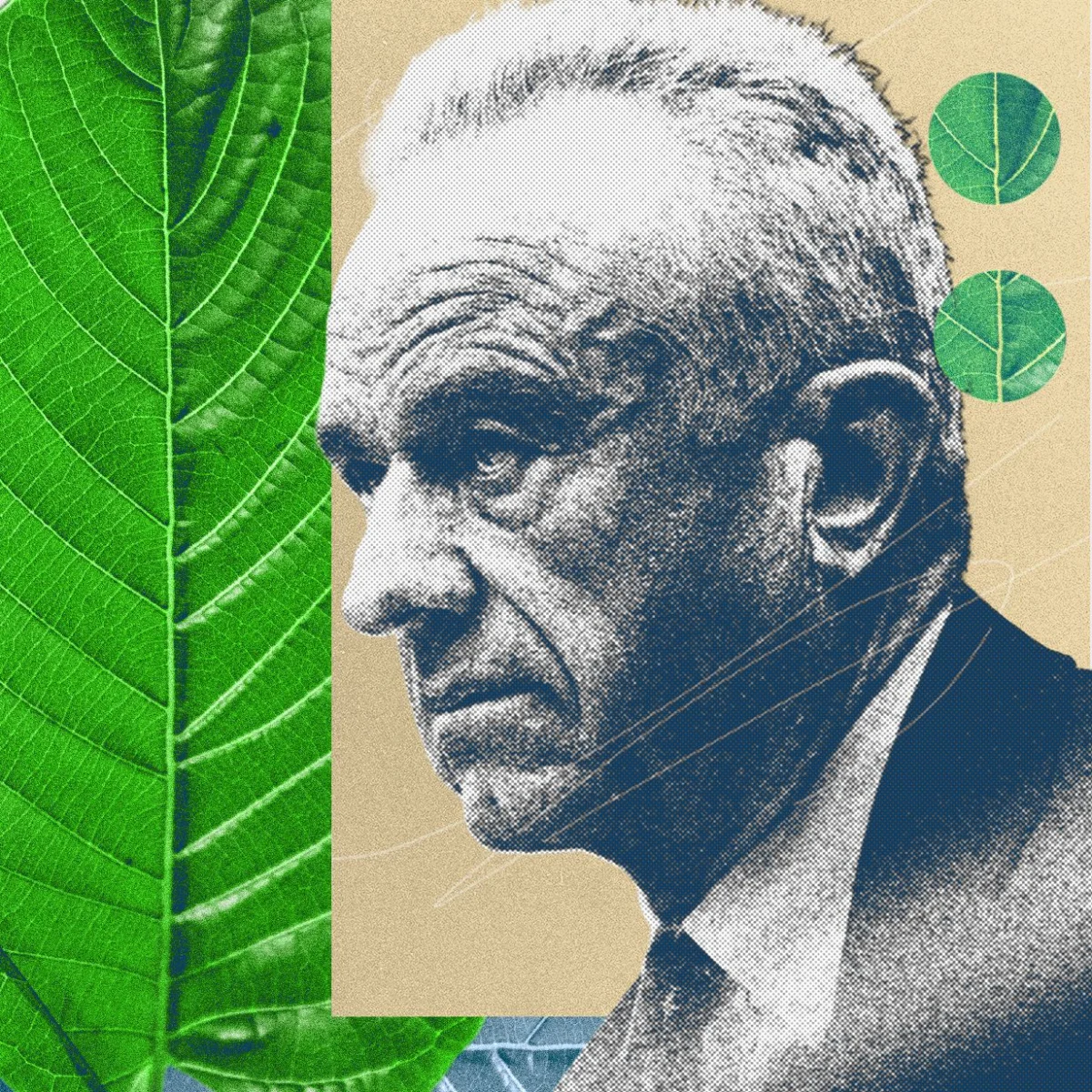 The 7-OH Schism: How a Potent Kratom Derivative is Splitting an Industry and Triggering a Federal Crackdown