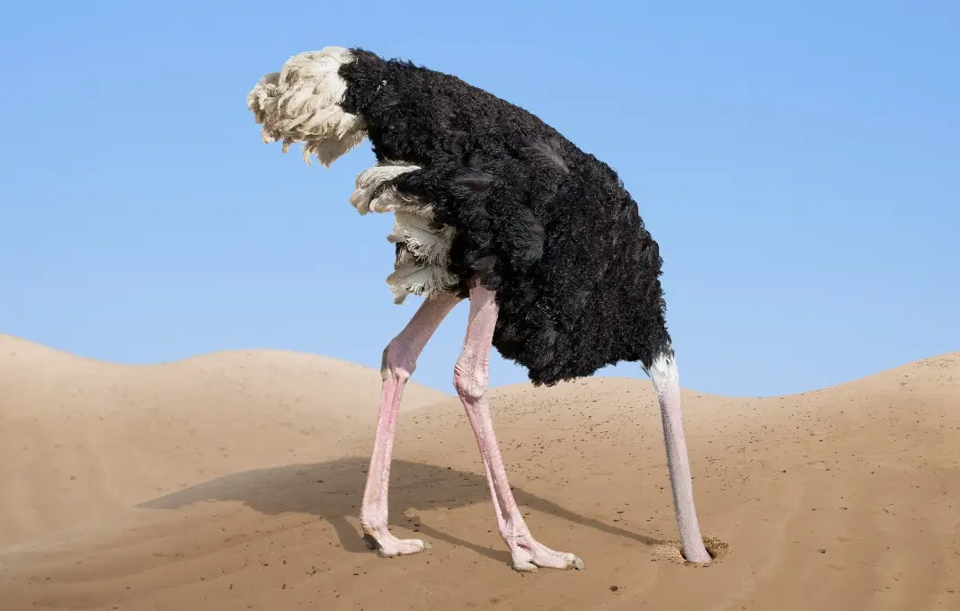 The Leader Within: Decades of Failed Change Initiatives Reveal the CEO as the Primary Obstacle