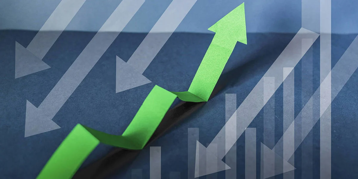 The Misallocation of Capital: Unpacking the Persistent Risk Premium in Developing Economies