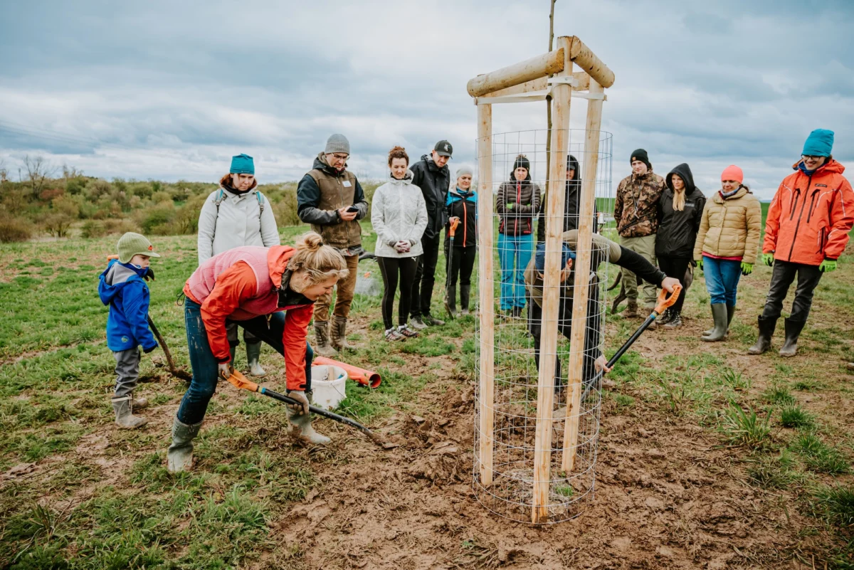 TriplePundit • Corporate Foundation Funds Nature-Based Climate Solutions, from Minnesota Peatlands to the Czech Countryside