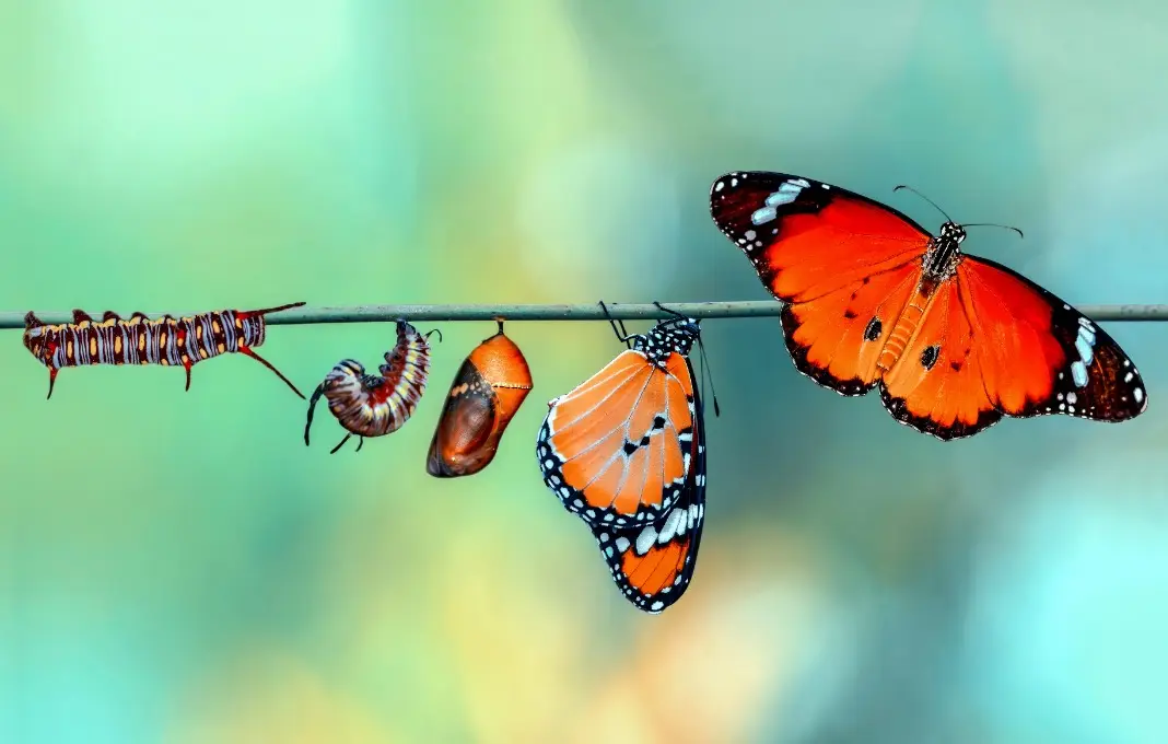 Good Judgment: The New Apex Skill for Business Leaders in an Age of Abundant Information