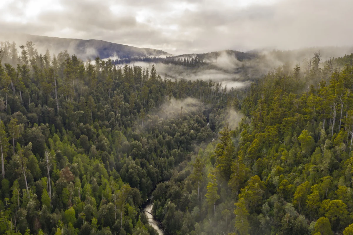 Gresham House, Aviva Investors, and CEFC Acquisition of Rushy Lagoon Sparks Fierce Debate