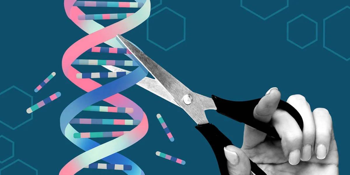 The Looming Specter of Biological Inequality: Genetic Engineering and the Widening Chasm