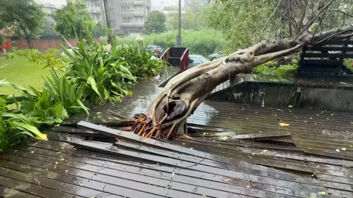 Typhoon Bavi Bears Down on China's East Coast After Lashing Japan and Skirting Taiwan