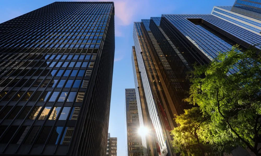 Canada's Financial Sector Dominance Reshapes S&P/TSX Composite Index, Sparking Debate on Diversification and Valuation