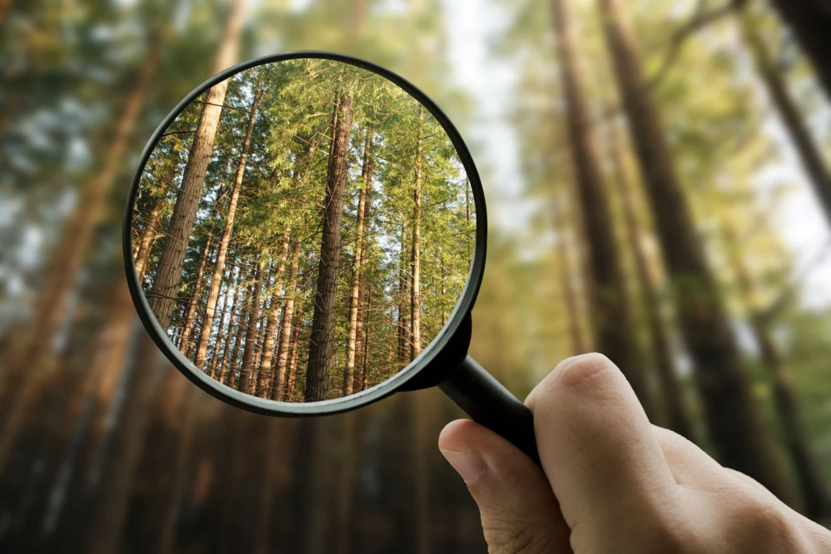 Industry Leaders Urged to Register for Exclusive Access to In-Depth Market Insights and Analytics