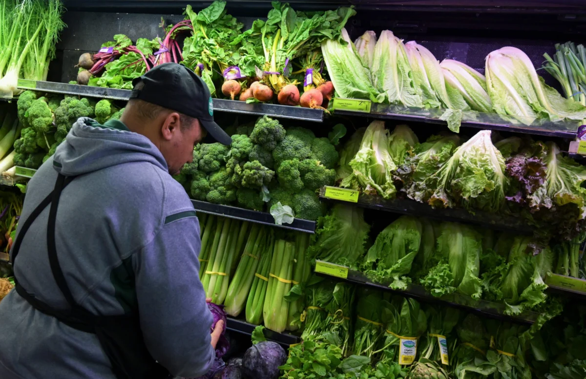 Lettuce Prices Plummet Amidst Cyclospora Outbreak, Highlighting Volatile Food Supply Chains