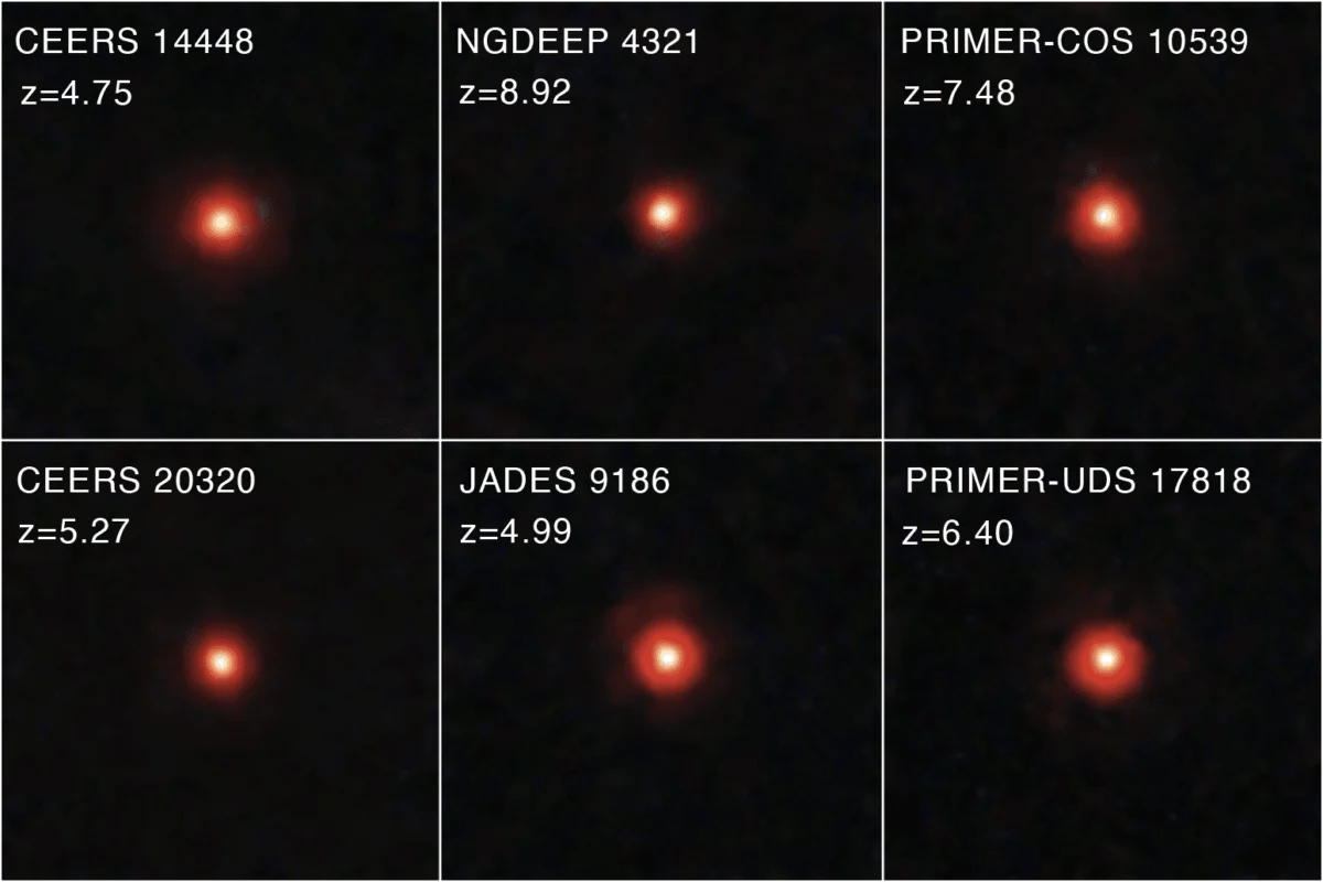 The Discovery of Black Hole Stars and the Evolution of Early Cosmic Structures Revealed by the James Webb Space Telescope