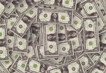 Pulse Fund Secures $63 Million for Climate-Focused Investments