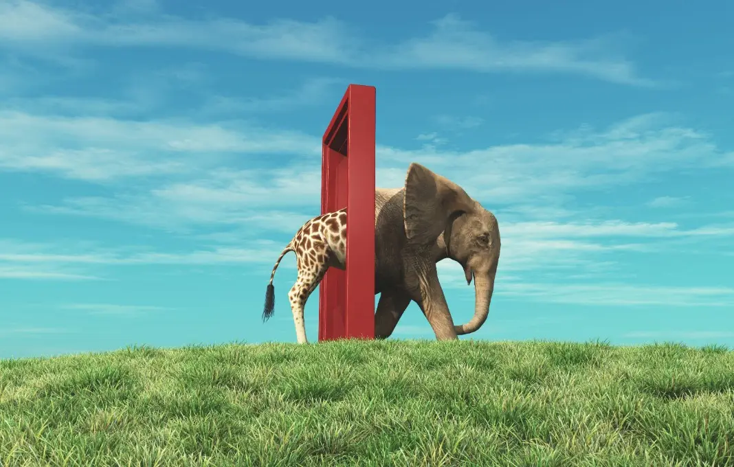 The Evolving Leader: Embracing Transformation Beyond Authenticity
