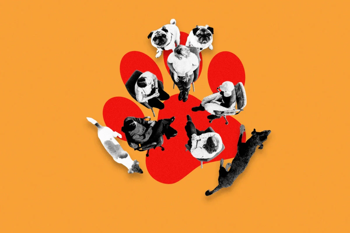 The Hidden Crisis of Modern Canine Companionship and the Rise of Dogs Anonymous Support Networks