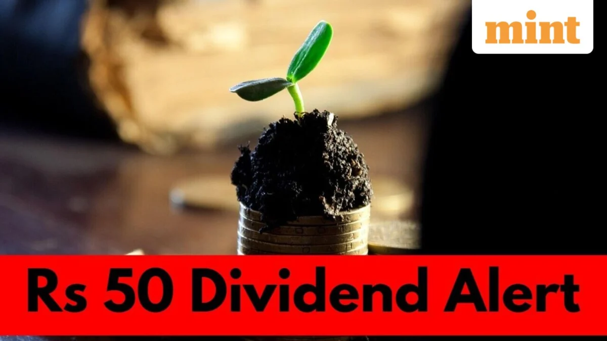Victoria Mills Limited Sets September 19 as Record Date for Dividend Payout Following Robust Quarterly Performance and Multi-Year Stock Surge